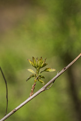 Similar image 21486528