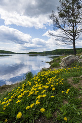 Similar image 21482780