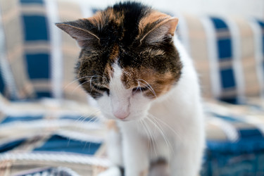 Similar image 21487699