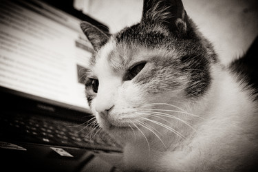 Similar image 21487700