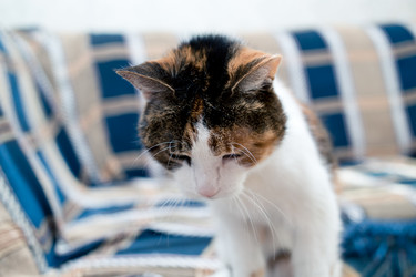 Similar image 21487701