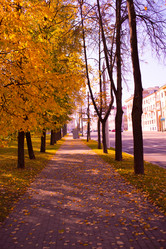 Similar image 21488064