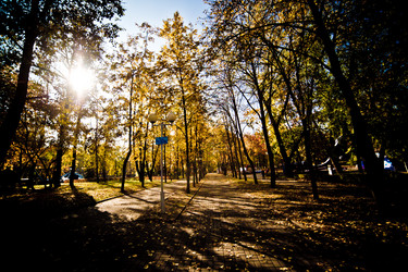 Similar image 21488066