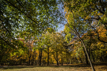 Similar image 21488068