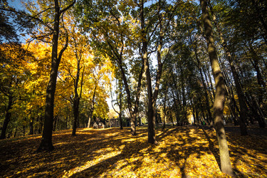 Similar image 21488069