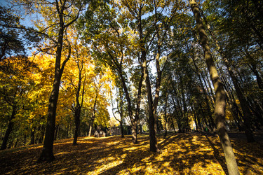 Similar image 21488070