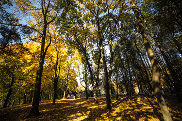 Similar image 21488071