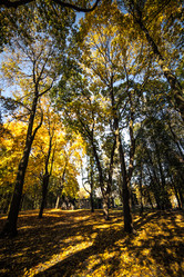 Similar image 21488072