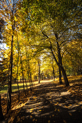 Similar image 21488073