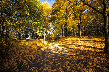 Similar image 21488074