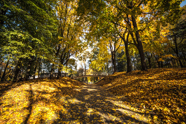 Similar image 21488075