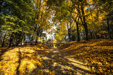 Similar image 21488076