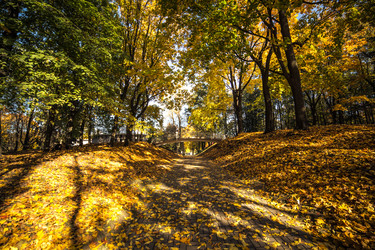 Similar image 21488077