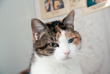 Similar image 21488085