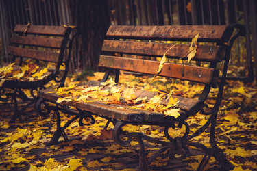 Similar image 21488086