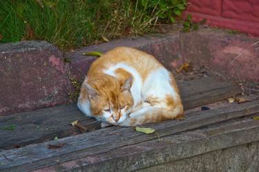 Similar image 21488087