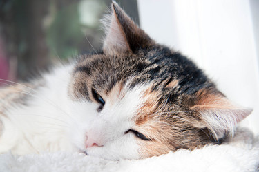 Similar image 21488089