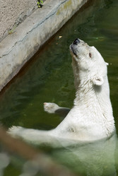 Similar image 21483550