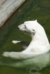 Similar image 21483552