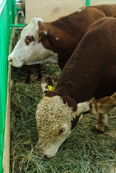 Similar image 21483563