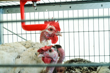 Similar image 21483567