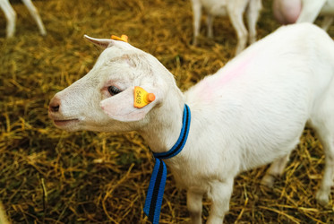 Similar image 21483569