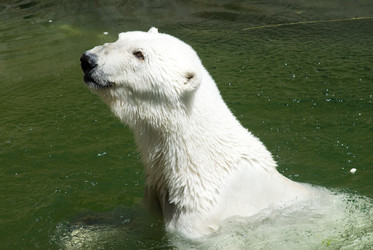 Similar image 21484090