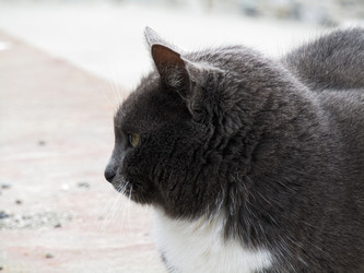 Similar image 21486814