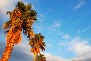 Similar image 21482781