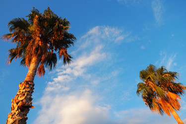 Similar image 21482782