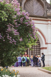 Similar image 21497382