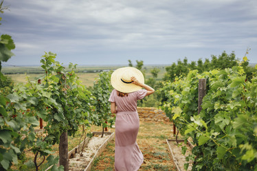 Similar image 21496107