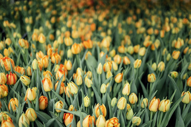 Similar image 21495650