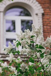 Similar image 21497225