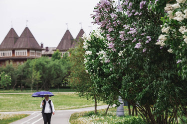 Similar image 21497240