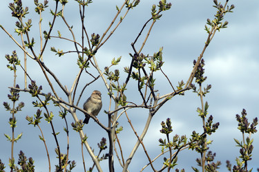 Similar image 21482786