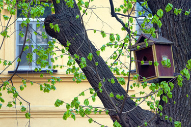 Similar image 21482788