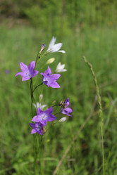 Similar image 21482792