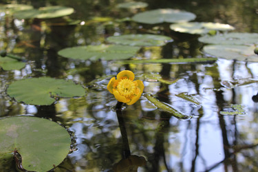 Similar image 21482794