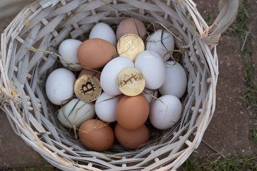 Similar image 21484918