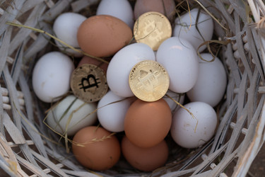 Similar image 21484920