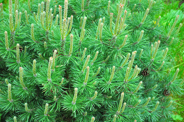 Similar image 21482795