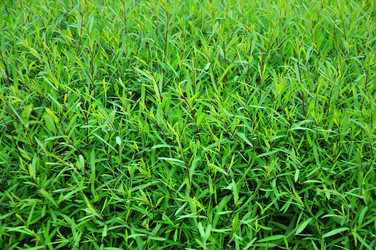 Similar image 21482796