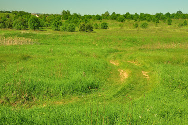 Similar image 21482800