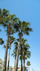 Similar image 21483065