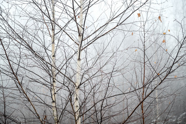 Similar image 21483082