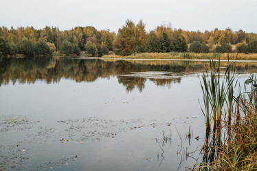 Similar image 21483083