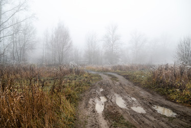 Similar image 21484921