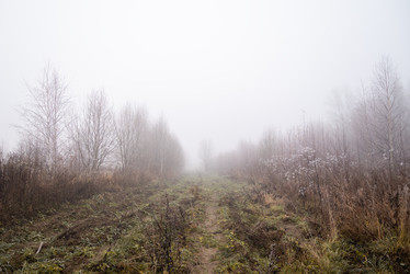 Similar image 21483085