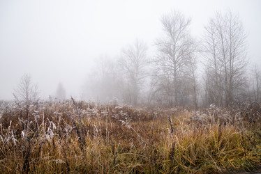 Similar image 21483086